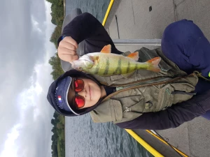 Guide de pêche la perche stage jeune